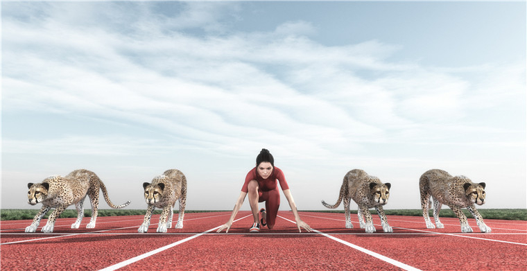 國(guó)際物流專線公司找哪家？