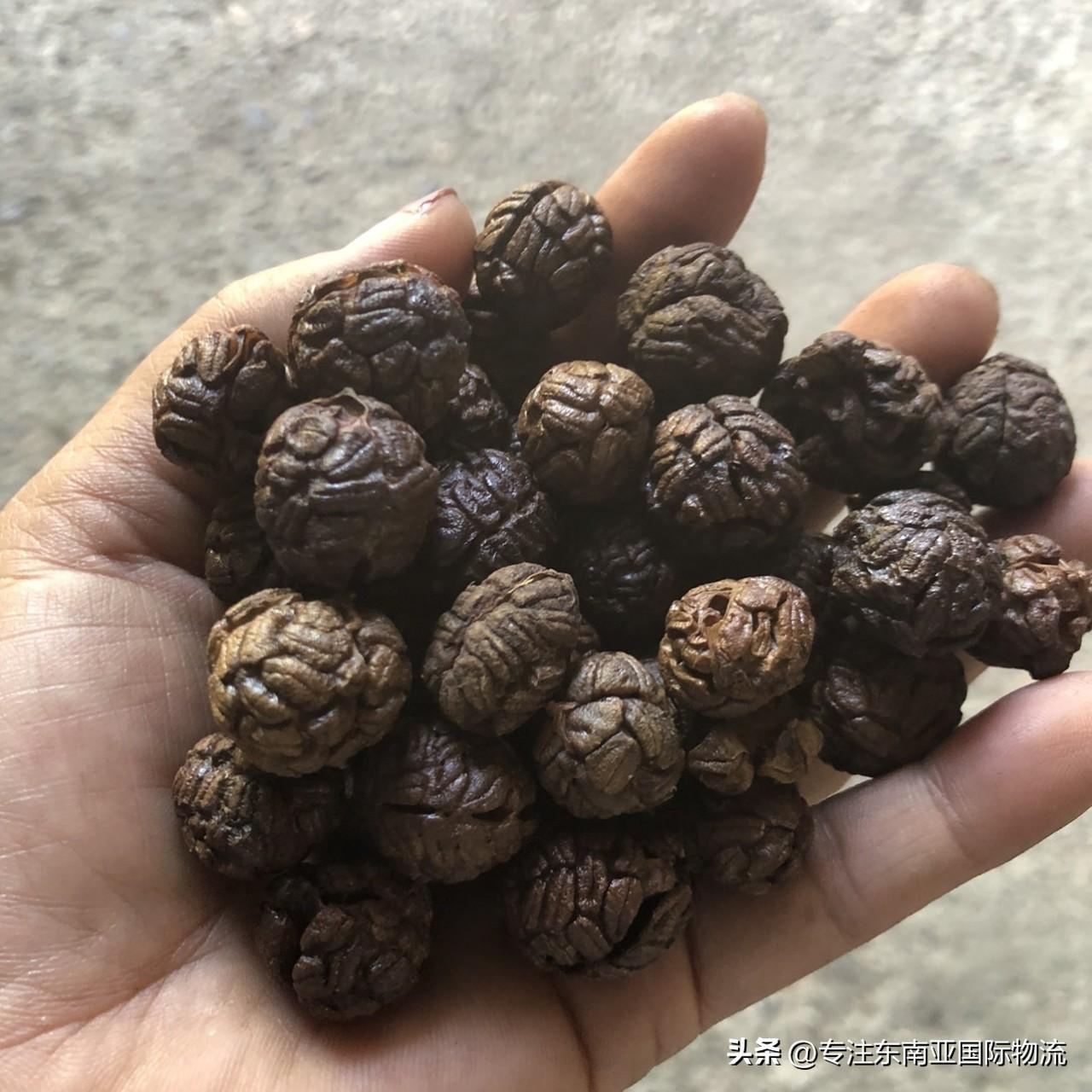 進(jìn)口清關(guān) 進(jìn)口清關(guān)