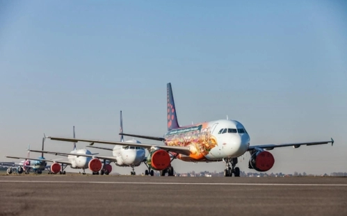 干貨 | 什么是空運特殊貨物？