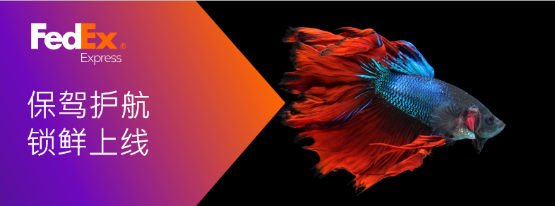 聯(lián)邦快遞 聯(lián)邦快遞